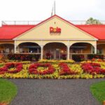 North Shore Adventure Shuttle - The Value and Practical Considerations