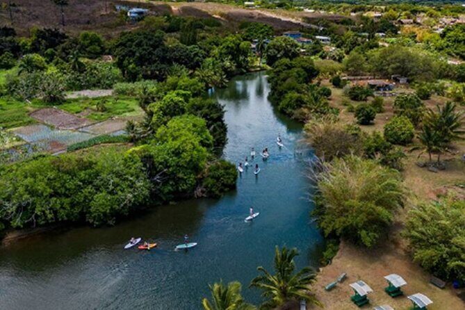 North Shore Farm: Anahulu River, Kayak-Sup, Turtles, Lunch & More - Who Will Love This Tour?