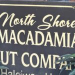 North Shore Foodie Fun: Eat, Explore, Enjoy (Incl. Dole) - Why This Tour Offers Great Value