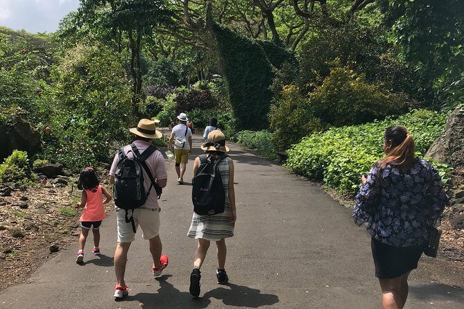 North Shore / Waimea, Falls Day & Swim with Turtles - FAQ