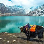 North Sikkim 6 Days Tour - Exploring the Heart of North Sikkim: A Detailed Breakdown of the 6-Day Tour