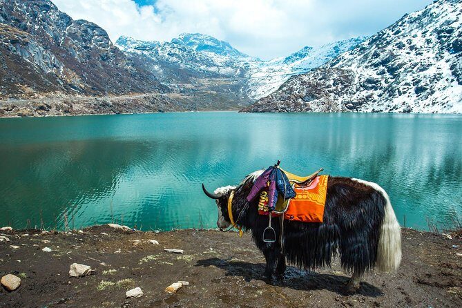 North Sikkim 6 Days Tour - Exploring the Heart of North Sikkim: A Detailed Breakdown of the 6-Day Tour