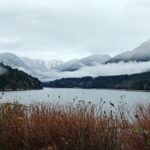 North Vancouver Discovery Private Tour - Final Thoughts: Is It Worth It?