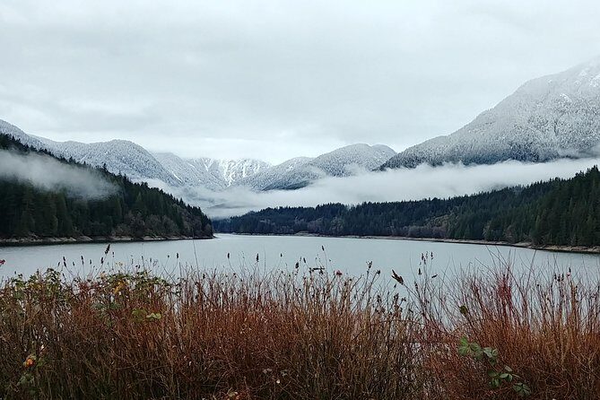 North Vancouver Discovery Private Tour - Final Thoughts: Is It Worth It?