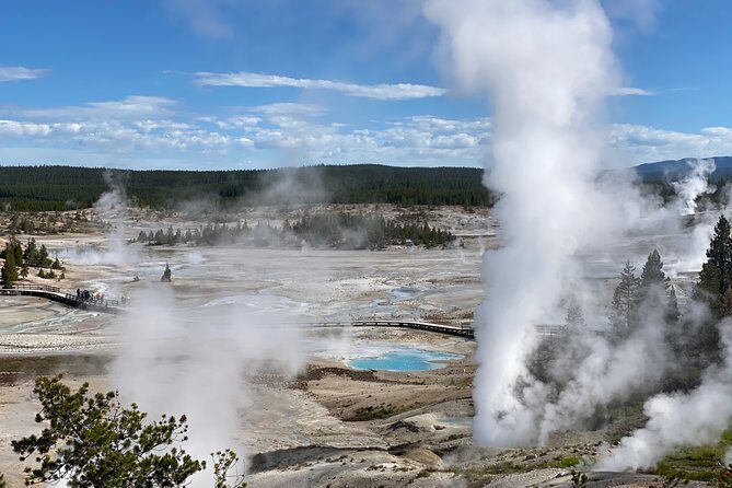 North Yellowstone Day Tour (Lamar Valley) Private Day Tour - What Travelers Say