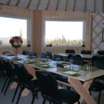 Northern Lights Viewing including Dinner and 1-Hour Dog Sledding - Final Thoughts: Is This Tour Worth It?