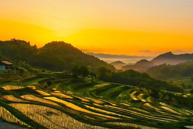 Noto Full Day Driving Tour (Private Car) - A Detailed Look at the Noto Full Day Driving Tour