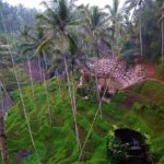 Nungnung waterfall, Sangeh village & Bali swing - Why This Tour Offers Good Value