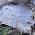 Nurata Mountain & Kyzyl-kum Desert 3 Day Tour From Samarkand or Bukhara - What Makes This Tour Stand Out