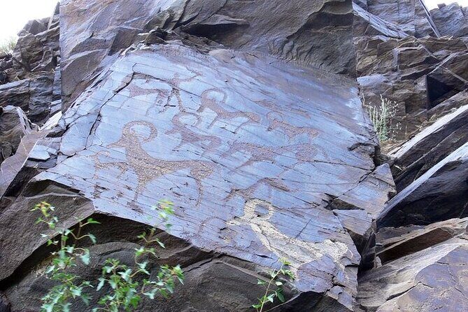 Nurata Mountain & Kyzyl-kum Desert 3 Day Tour From Samarkand or Bukhara - What Makes This Tour Stand Out