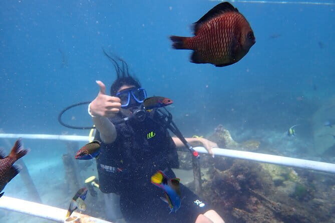 Nusa Dua Marine Parasailing Adventure,Tubing Ride and Diving Experience - The Sum Up