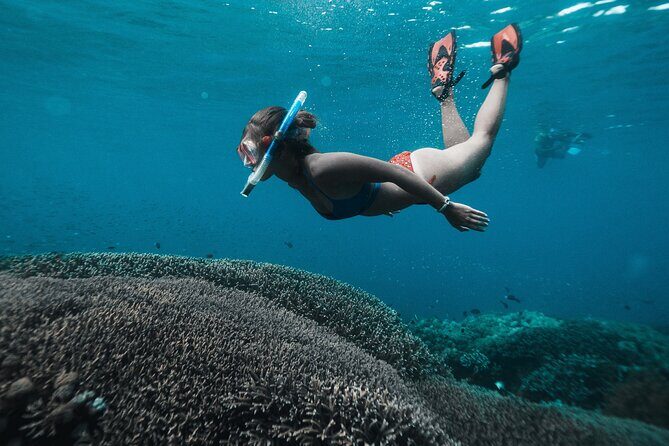 Nusa Penida day trip: boat, 4 snorkeling, Manta rays & Land tour - Why This Tour Stands Out