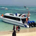 Nusa Penida Island Beach Tours - Transportation and Guides: Comfort and Insights