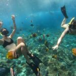 Nusa Penida Island Beach Tours with Snorkeling From Bali - An In-Depth Look at Your Nusa Penida Day Trip