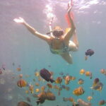 Nusa Penida Private Snorkeling Tour with West Island Trip - A Deep Dive into the Nusa Penida Experience