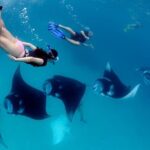 Nusa Penida Snorkeling Adventure (Private & All-Inclusive) - Who Would Love This Tour?