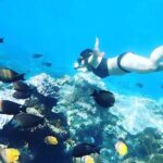 Nusa Penida Snorkeling Tour - Departure From Bali - Frequently Asked Questions