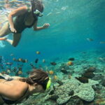 Nusa Penida Snorkeling Trip Manta Point Gamat Bay and Wall Bay - Who Should Book This Tour?