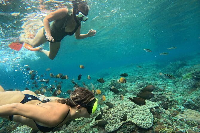 Nusa Penida Snorkeling Trip Manta Point Gamat Bay and Wall Bay - Who Should Book This Tour?
