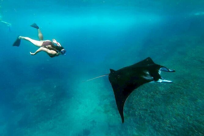 Nusa Penida Snorkeling with Manta Bay & Island Tour - Frequently Asked Questions
