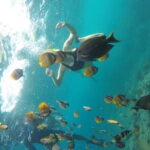 Nusa Penida Snorkling Package - Why We Think This Tour Offers Great Value