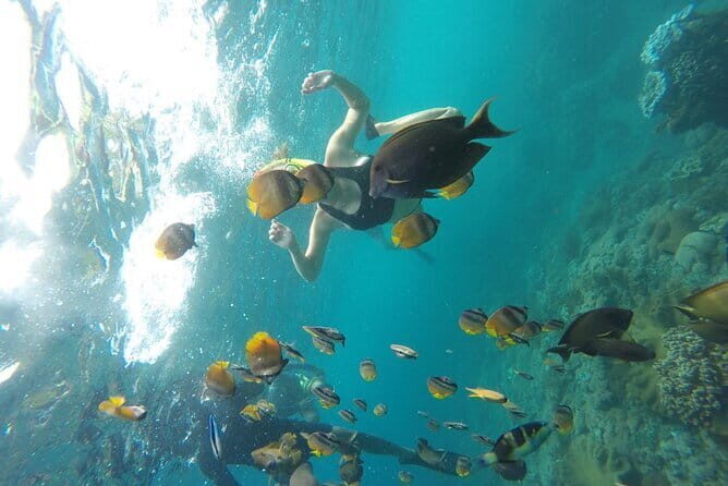 Nusa Penida Snorkling Package - Why We Think This Tour Offers Great Value