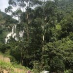 Nuwara Eliya Half Day Private Hiking and Sightseeing Tour - Frequently Asked Questions