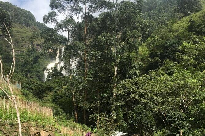 Nuwara Eliya Half Day Private Hiking and Sightseeing Tour - Frequently Asked Questions