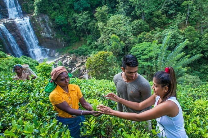 Nuwara Eliya Highlights: Waterfall, Tea & Picturesque Train Ride - Why This Tour Offers Value