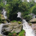 Nuwara Eliya Tea factory and waterfall tour - The Experience in Detail