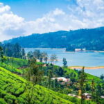Nuwara Eliya to Kandy: Transfer with Waterfall & Tea Tour - A detailed look at the journey