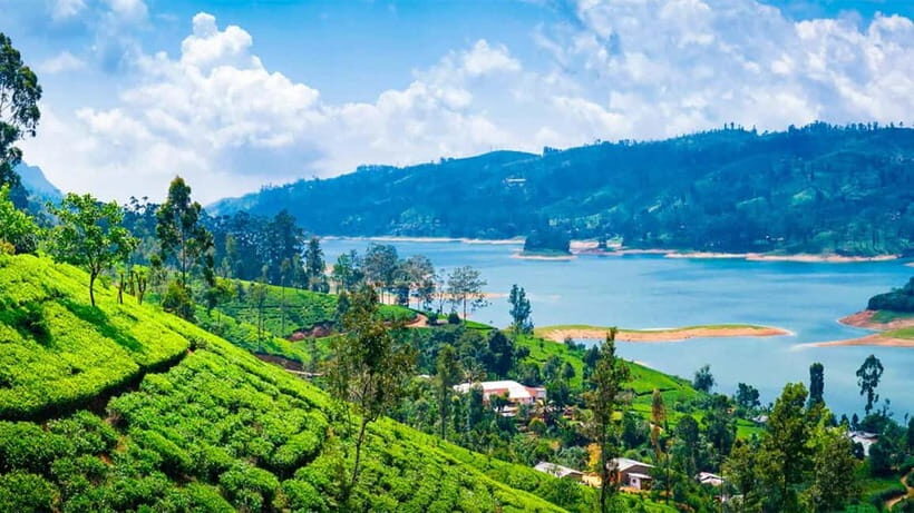 Nuwara Eliya to Kandy: Transfer with Waterfall & Tea Tour - A detailed look at the journey