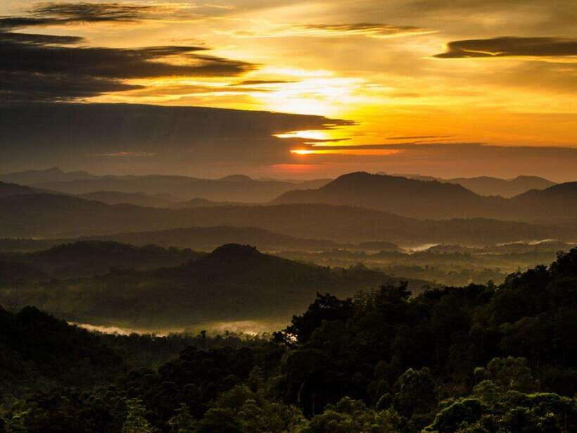 Nuwara Eliya to Summit Bliss: Adams Peak Overnight Hike - Who Will Love This Tour?