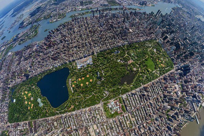 NYC Central Park Horse Carriage Ride (Up to 4 Adults) - The Experience in Detail