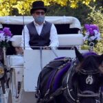 NYC Central Park VIP Horse and Carriage Ride - Frequently Asked Questions