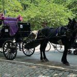 NYC Empire State Horses Carriage Ride in Central Park (45 Mins) - What Does the Tour Cover?