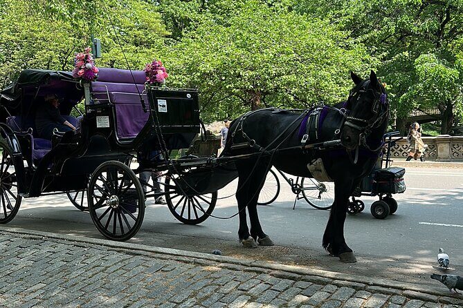 NYC Empire State Horses Carriage Ride in Central Park (45 Mins) - What Does the Tour Cover?