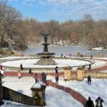 NYC Empire State Horses Carriage Ride in Central Park(55 Min) - The Photo Stops and Personal Touches