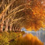 NYC Fall Foliage Cruise - FAQ