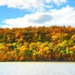 NYC Fall Foliage Cruise: Experience Autumn's Beauty - Authentic Traveler Insights
