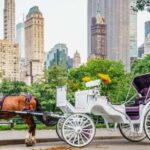 NYC: Guided Central Park Horse Carriage Ride - Who Should Consider This Tour?
