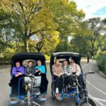 NYC: Guided Central Park Pedicab Private Tour - What’s the Value?