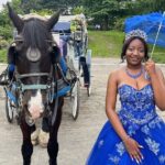 NYC Horse and Carriage Central Park Tours - A detailed look at the Central Park Horse and Carriage Tour