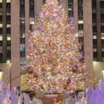 NYC Rockefeller Center Christmas Lights Horse Carriage Ride - Final Thoughts