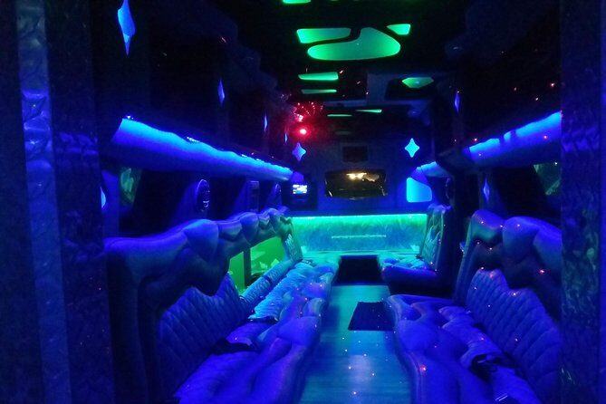 NYC Sightseeing Tour Manhattan (Party Galaxy H2 Hummer) - Who Is This Tour Best For?
