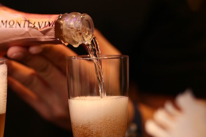 NYE Fireworks Cruise on the Grande Mariner With Dinner + Open Bar - Final Thoughts