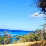 Oahu: All Day Circle Island Tour with Snorkeling - Who Is This Tour Best Suited For?