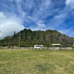 Oahu Allstar Circle Island Tour: Dole, Turtles. Blowhole, Fun - What the Reviews Say