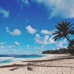 Oahu Circle Island: Snorkel with Turtles & Explore Turtle Beach - An In-Depth Look at the Oahu Circle Island Tour