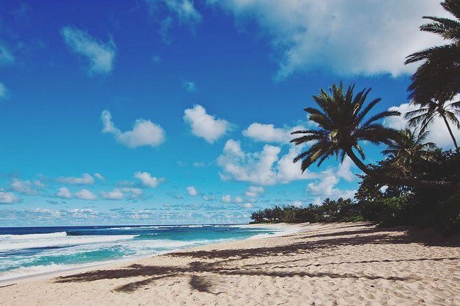 Oahu Circle Island: Snorkel with Turtles & Explore Turtle Beach - An In-Depth Look at the Oahu Circle Island Tour